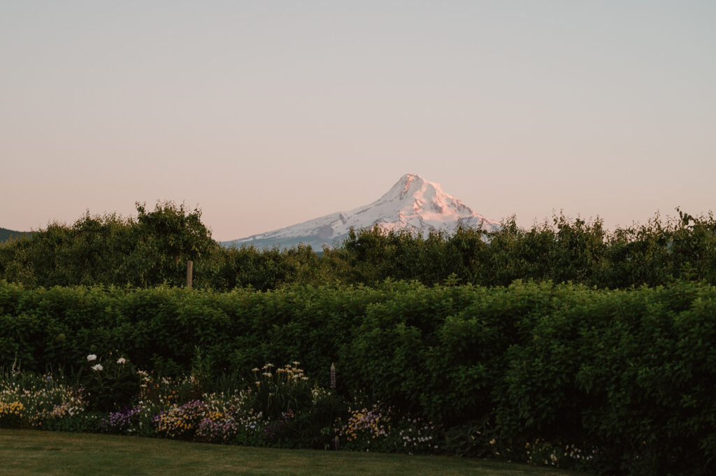 mt hood 