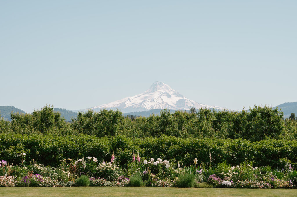 The Orchard in Hood River