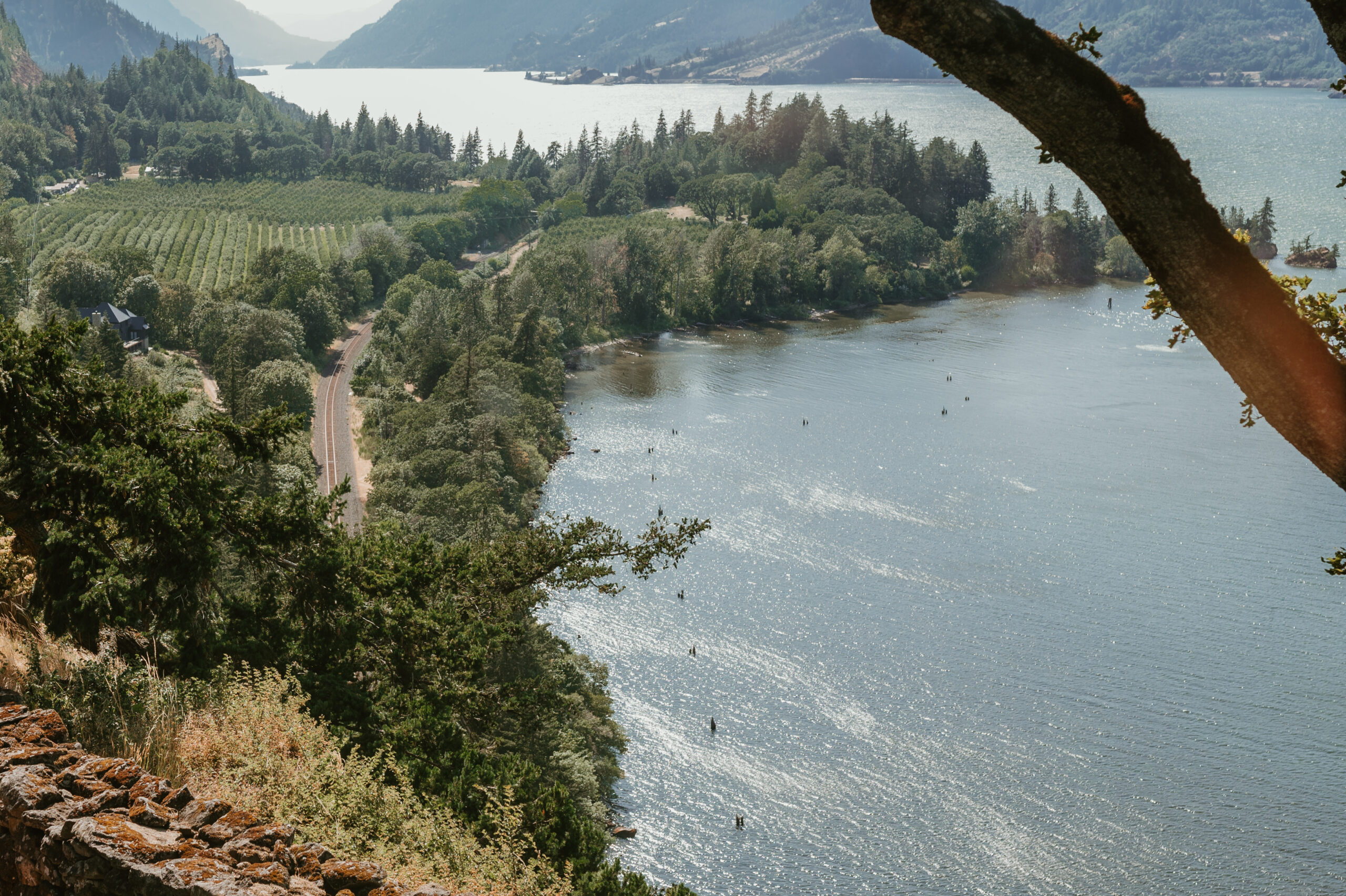 views from the griffin house at the Columbia Gorge in Hood River